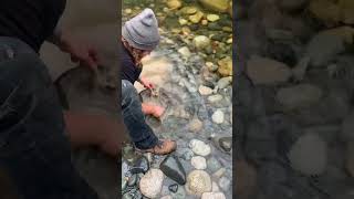 Panning for gold on Vancouver Island