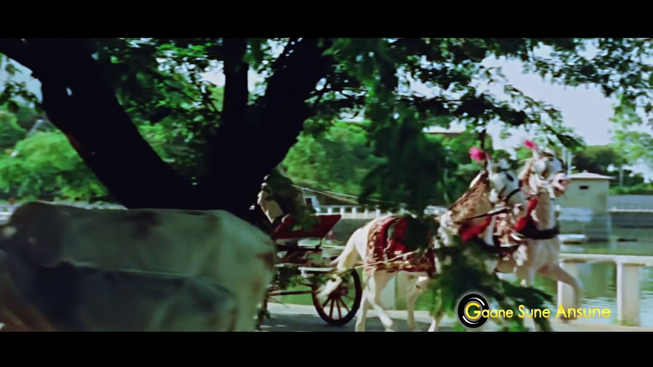 Usko Nahin Dekha humne Kabhi YouTube