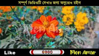 কোচিং এর ম্যাডাম যখন রোমান্টিক বউ||সকল পর্ব||Romantic Love Story||Voice:Ashik•Priyanka||Mon Amar