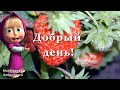 Добрый день!/Цените жизнь!/Хорошая песня!