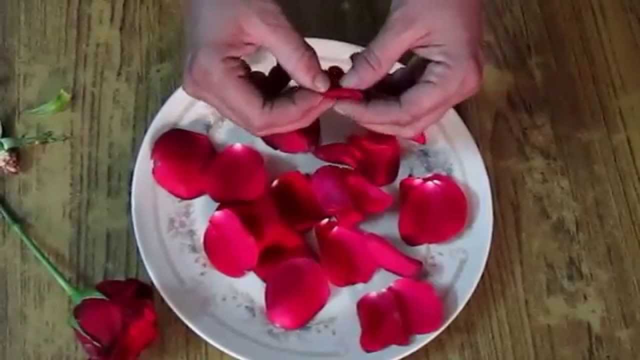 HOW TO DRY ROSE PETALS AT HOME YouTube