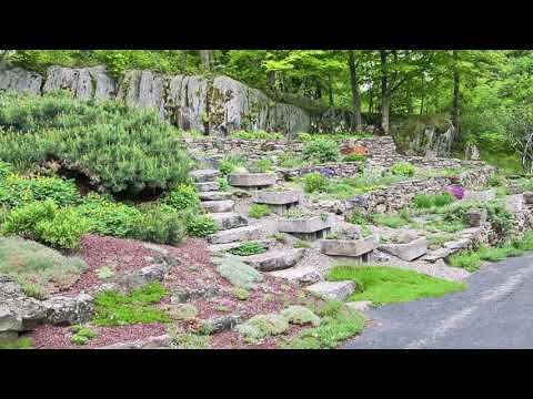 Видео: Xeriscape Garden Ideas - Информация за Xeriscape Shade Gardens