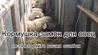 Кормушка - замок для овец и коз: не повторяйте наших ошибок и сразу делайте как надо