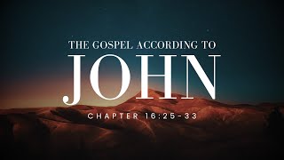 Christ has Overcome the World | John 16:25-33 | Joshua Enns