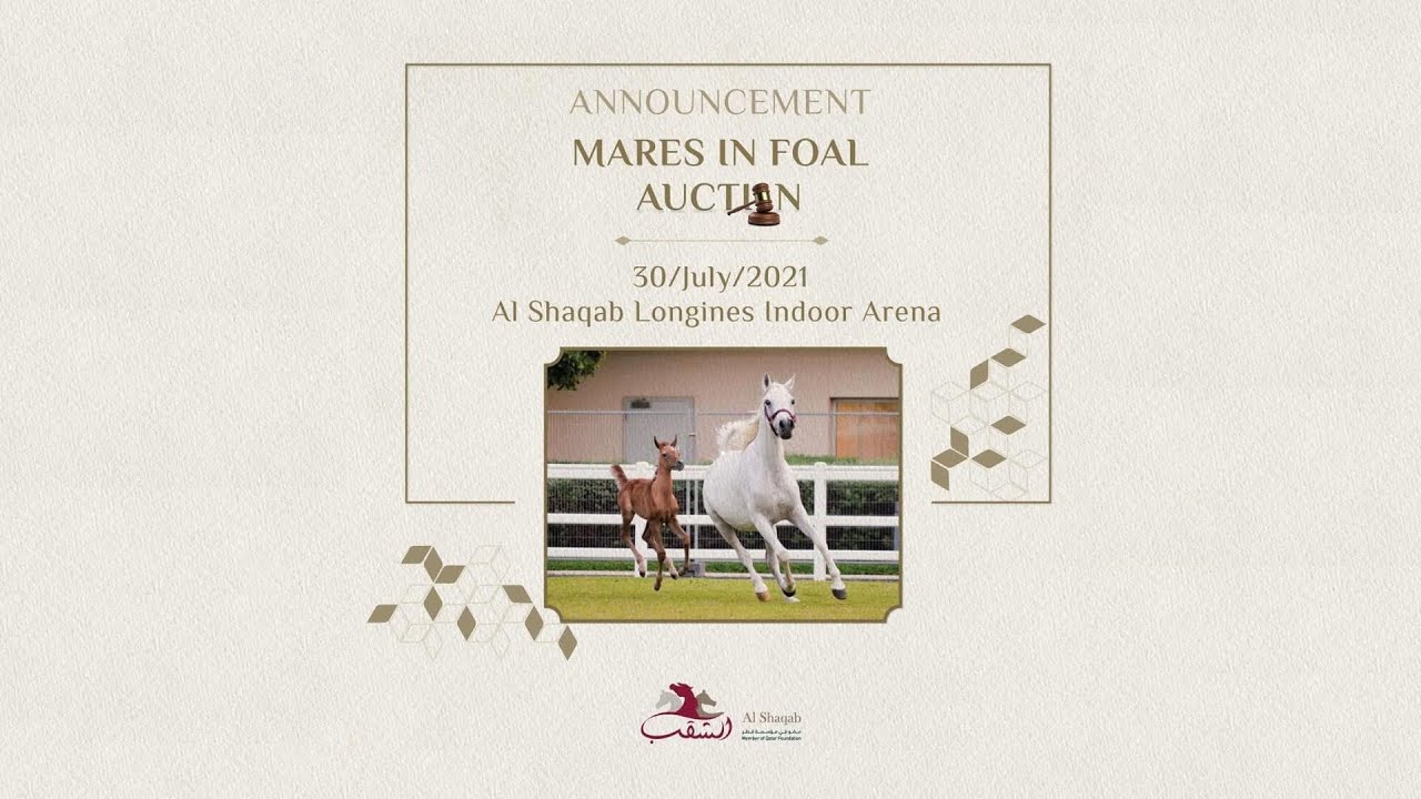 Download MARES IN FOAL AUCTION