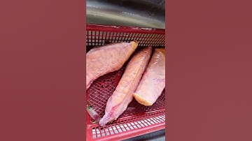 Thumbnail of Ini luar biasa telur ikan tuna#shorts