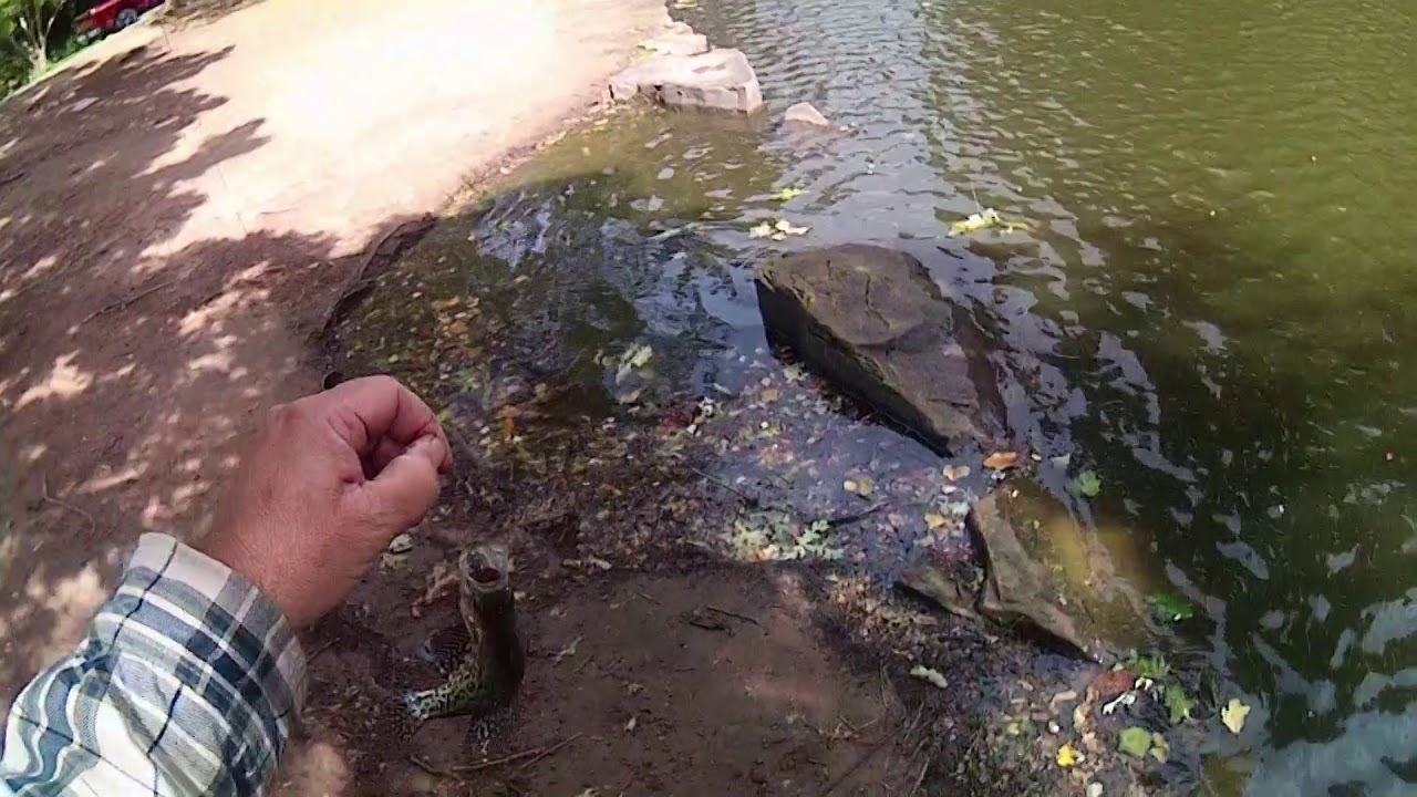 Tulsa pond fishing, Owen Park (Close to home by the ODWC)