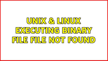 Unix & Linux: executing binary file: file not found (2 Solutions!!)