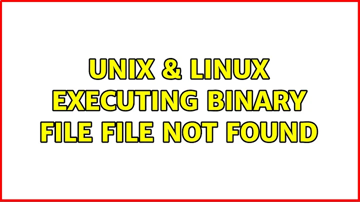 Unix & Linux: executing binary file: file not found (2 Solutions!!)