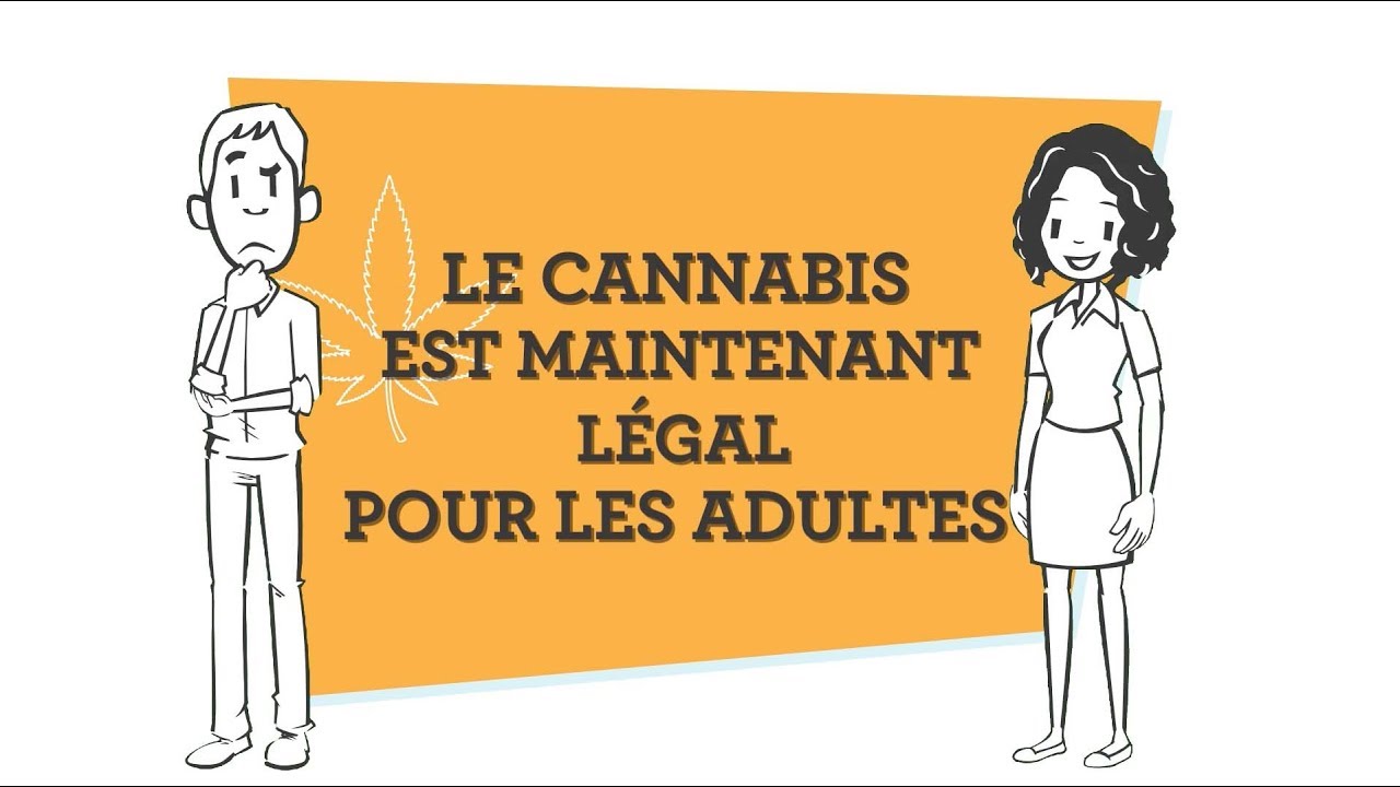 La nouvelle Loi sur le cannabis du Canada