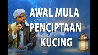 Awal mula penciptaan kucing (Habib Abdurahman bin Kamil Assagaf Ternate)