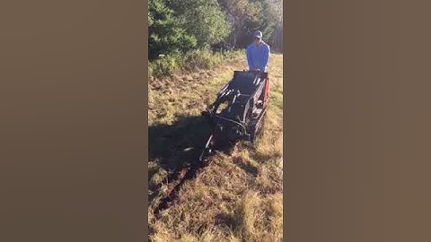 Toro Dingo Trencher