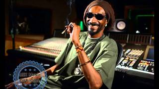 Snoop Dogg - Never Had It Like This Feat. Warren G & T Fly