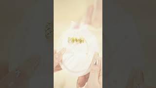 20250124 o1737688893 3839 1 mp4