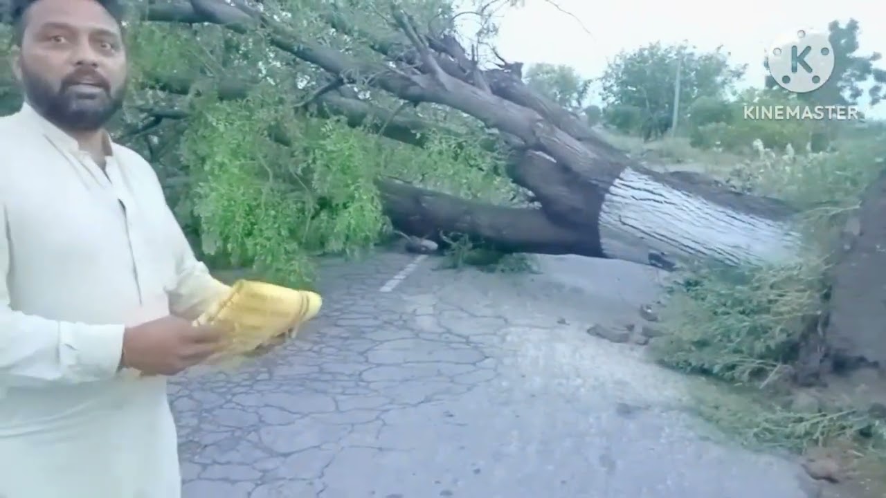 Hardeep Singh Tracking Blog