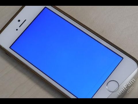 синий экран iphone 5 s ремонт синий экран iphone 5 s ремонт