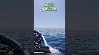 Богатства японского моря. Дайвинг в приморском крае.Погружение с аквалангом.