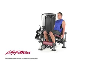 Insignia Series Leg Extension