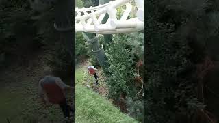 Blindenstok verloren mindervalidenrij Python Efteling. #efteling #Python #NielsKooijman? Wealth