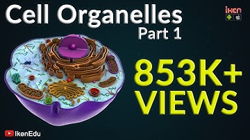 Cell Organelles - Part 1 | Animation Video | Iken Edu