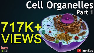 Cell Organelles - Part 1 | Animation Video | Iken Edu