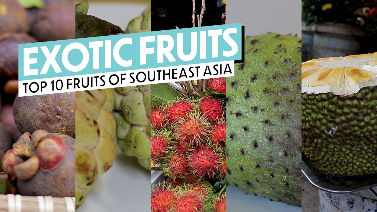 10 Exotic Tropical Fruits You Need To See (And Try!) YouTube