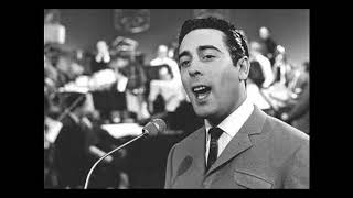 Download Lagu Jou vergeet ik niet - Gert Timmerman MP3