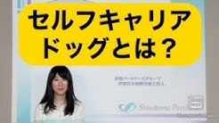 汐留社会保険労務士法人 Youtube
