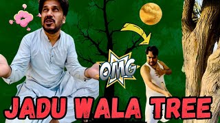 Jadu Wala Darakhat | Magical Tree | #funnyvideo #comedyvideo