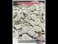 we specialize in providing top-tier freeze-dried fruit solutions tailored