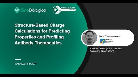 Structure-Based Charge Calculations for Predicting Properties and Profiling Antibody Therapeutics