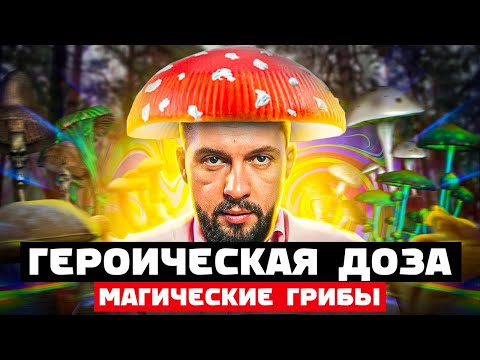 Мой МИСТИЧЕСКИЙ опыт после Героической Дозы Магических Грибов (псилоцибин)