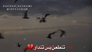 احمد الساعدي | ناكر المعروف