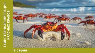Таинственная миграция красных крабов. 2 Серия. Документальный Проект. Лучшие сериалы