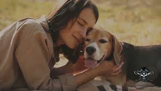 Paws For Thought - 10 Life Lessons from Dogs