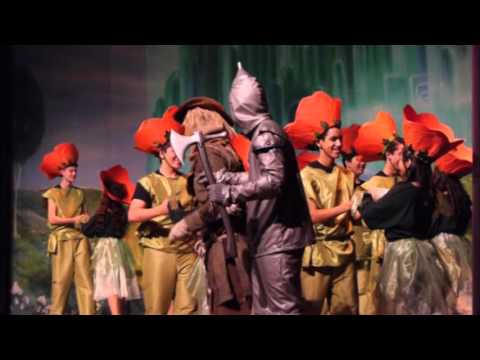 The Wizard of OZ - Poppies