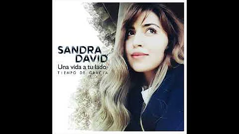 Sandra David - Una Vida A Tu Lado (Audio Oficial) ...