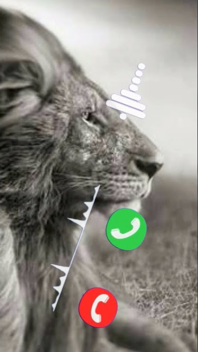 BGM Ringtone | Fearless Ringtone | Emotion Ringtone | Mobile Ringtone | New Ringtone
