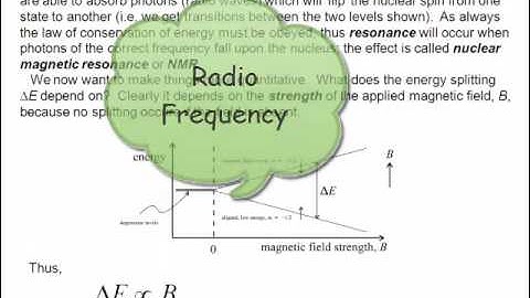 Chemistry Vignettes: NMR Nuclei in a Magnetic Field