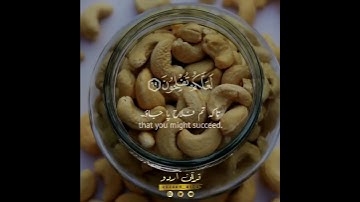 🎁فاذكروا آلاء الله لعلكم تفلحون✨ سورة الأعراف:٦٩| رعد الكردي|Surah al A'raaf:69|Raad al Kurdy