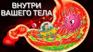 картинка: ПУТЕШЕСТВИЕ ПО ВАШЕМУ ТЕЛУ!ГАЛАКТИКА ПОД НАЗВАНИЕМ ЧЕЛОВЕК.