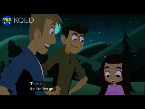 Wild Kratts- Fireflies- full episode - YouTube