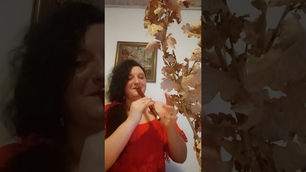 Frula - Užičko kolo ( MIR BOŽIJI  HRISTOS  SE RODI) 🥰🥰🥰