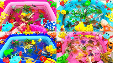 Video tổng hợp động vật dễ thương,chim cánh cụt,cá heo,cá mập,cá sấu,cá đuối,các loại cá,thằnlằn,rắn