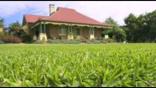 How To Feed Your Lawn - President Turf