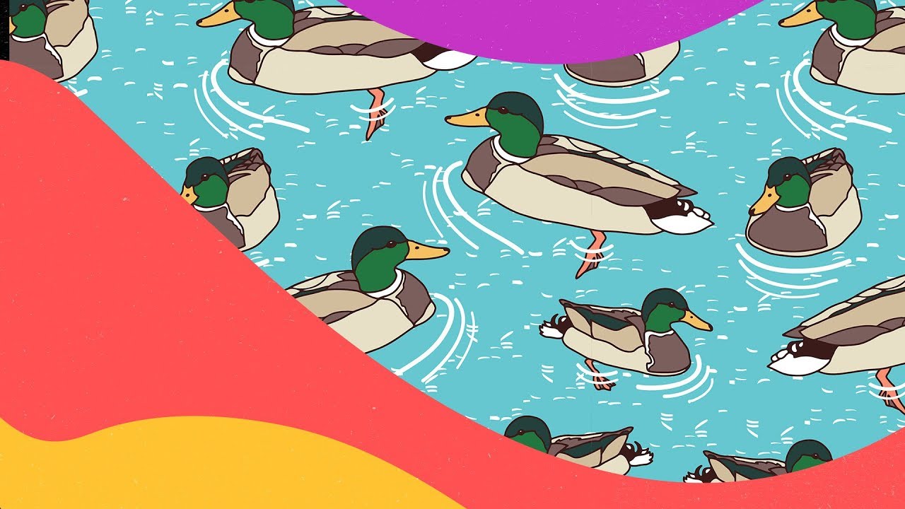 Watch Dave Winnel - The Quack on YouTube Watch Dave Winnel - The Quack on YouTube