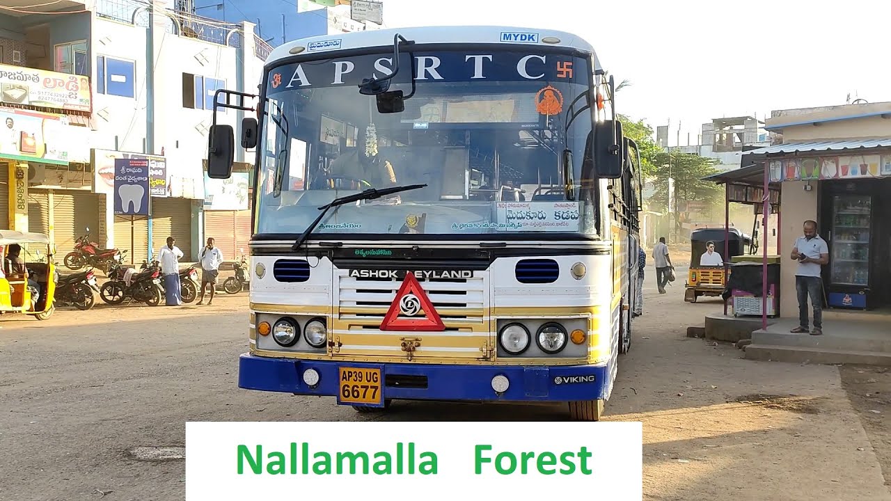Mydukur - Porumamilla via Nallamalla Forest by Ultra Palle Velugu APSRTC Bus