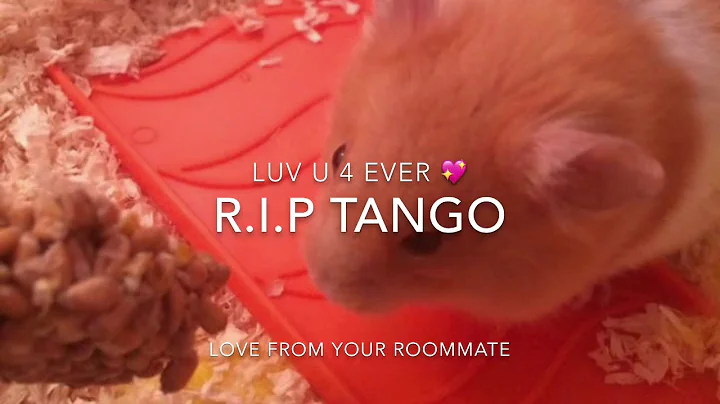 R.I.P Tango luv u 4 ever