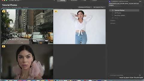 Luminar AI App [MAC] Basic Overview - Mac App Store