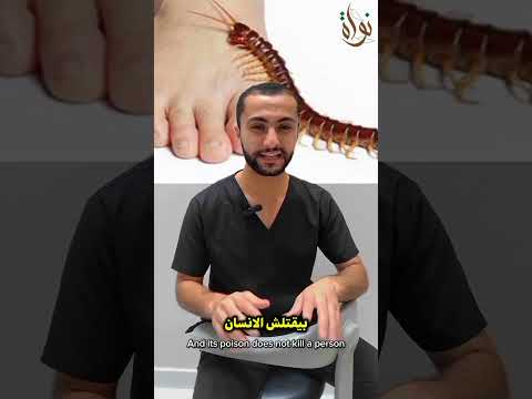 ليه وجود أم أربعة وأربعين في بيتك ممكن يكون مفيد اكتشف الحقيقة الغريبة 